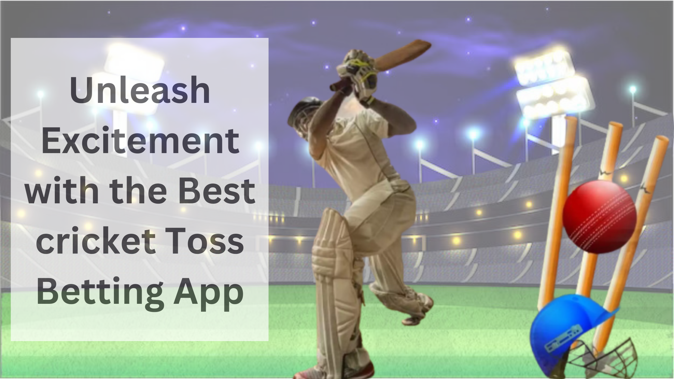 Revolutionize Your Betting Experience with the Ultimate Cricket Toss Betting App